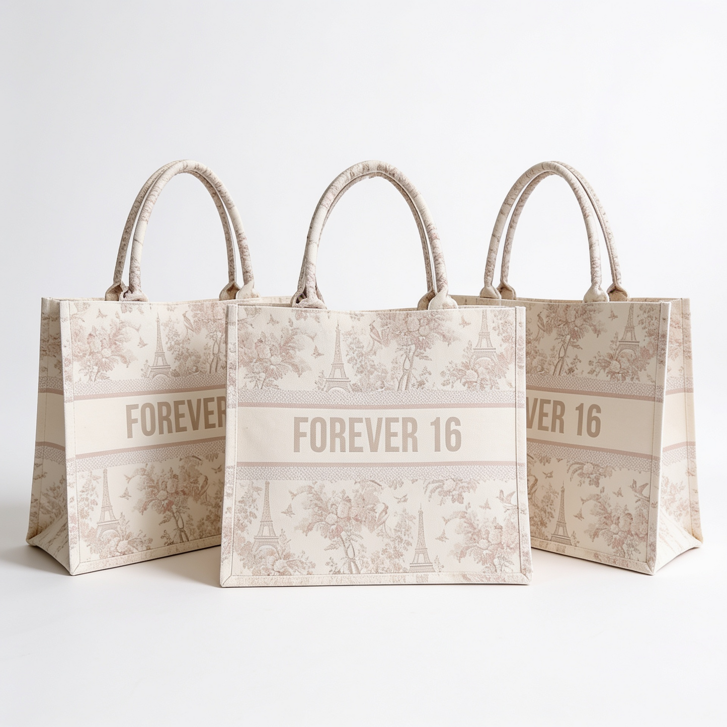 Paris toile tote